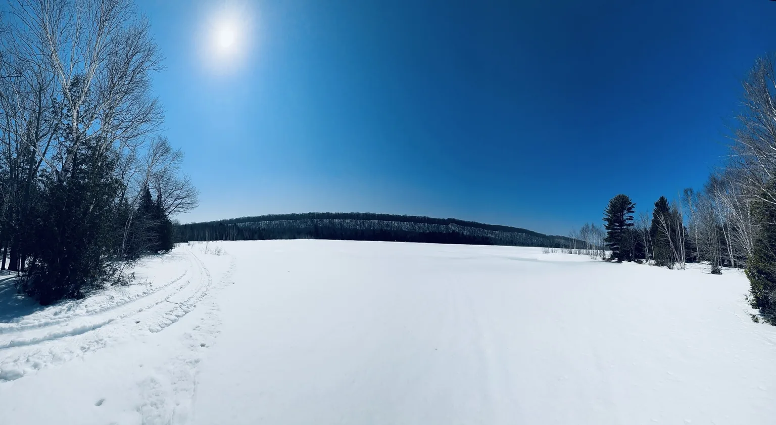 Bright winter day beside a snow-covered lake