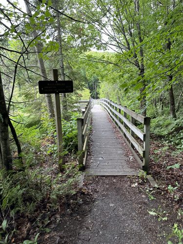 Nearby woodland trail and boardwalk